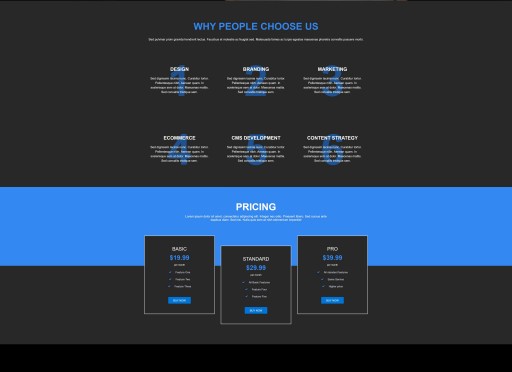 Digital Agency Template